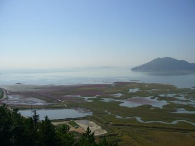 韓国３泊４日③　スンチョン（順天）湾自然生態公園