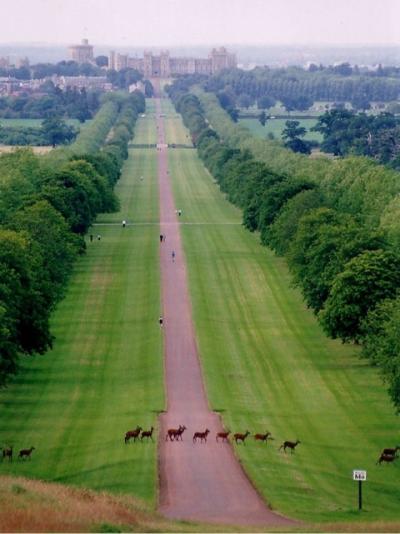 Windsor Castle in England;)