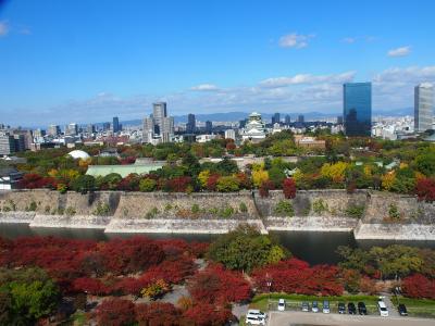 大阪城　紅葉