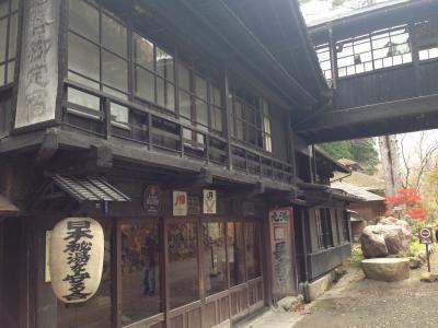 ワンコを連れて、超行き当たりバッタリの温泉巡り長野、群馬(後編 群馬県)