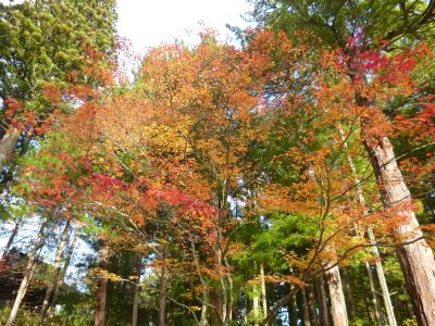 秋の高野山、かけ足で紅葉狩り。