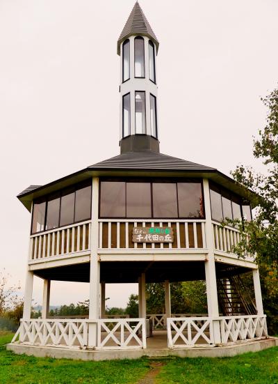 美瑛e パノラマロード　新栄の丘～千代田の丘　　☆拓真館で作品鑑賞