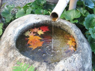 ’１４　紅葉の袋田の滝＆永源寺２　永源寺（もみじ寺）編