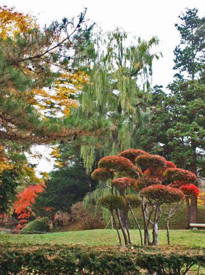 紅葉の旧岩船氏庭園・香雪園へ