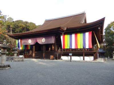 初冬の三井寺