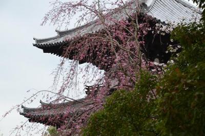 興福寺と平城京跡を訪ねる