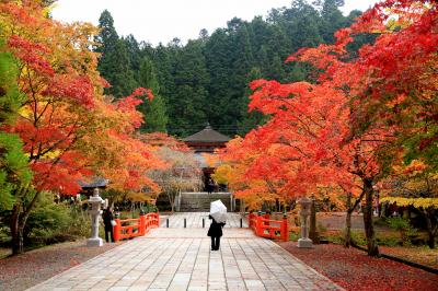 高野山へ紅葉を見に行ってきました。