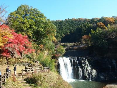 龍門の滝の紅葉とサケ