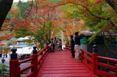 2014年秋満開　初めての谷汲山華厳寺と横蔵寺(ミイラ寺)