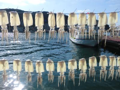 福岡・佐賀　家族でおいしいものを食べに行こう旅行 1