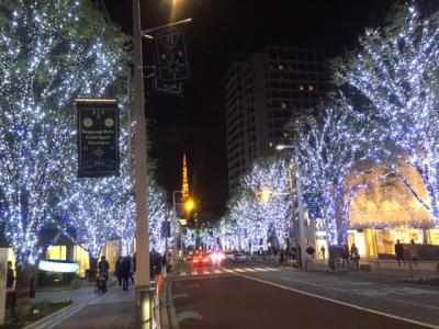 (2/2) 晩秋の東京散歩　デイウォーク（２日目）及びイルミネーションが輝く六本木　ナイトラン　ー　11月　２０１４年