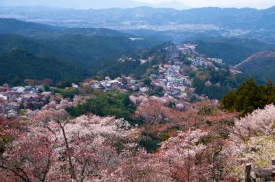 桜紀行 in 2014 - 奈良編