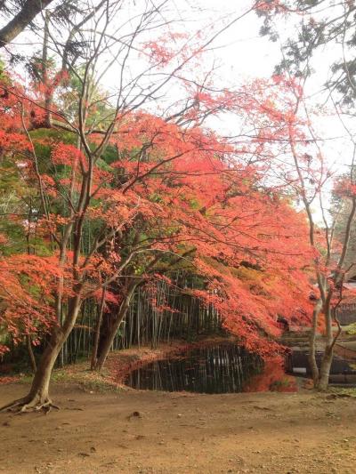 岩手・中尊寺の旅