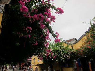 悲願！　家族でホイアン旅行（１日目～３日目　市街地観光編）