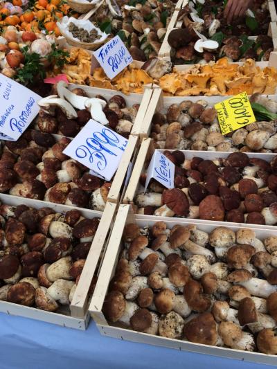 イタリア10泊12日女一人個人旅行ー6日目ー★午前中はミラノの青空市場「Mercato di Via Fauche」で買い物三昧、午後はミラノのシンボル、ドゥオモに。夜はご馳走、ポルチーニです!