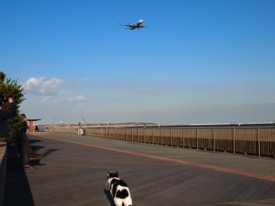 羽田空港の隣、城南島キャンプ場