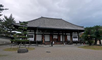 【国内173】奈良とんぼがえり1-奈良とんぼがえり，法華寺で十一面観音を久しぶりに拝む