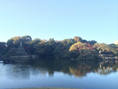 いよいよ明日20日からライトアップ！六義園のフライングライトアップへ行って来た！