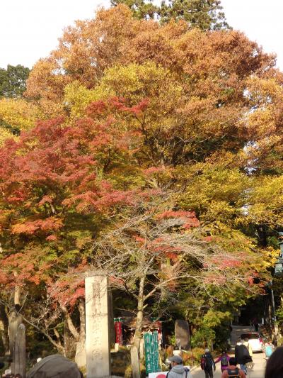 紅葉の高尾山