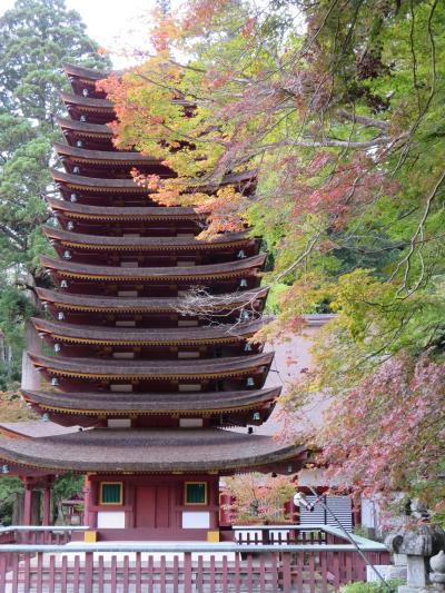 家族で行く談山神社☆１１月５日時点では、まだ緑でした～！今は見頃かな♪