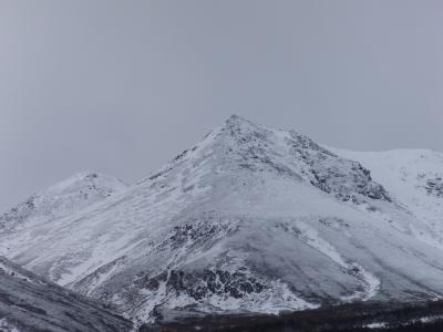 紅葉と積雪