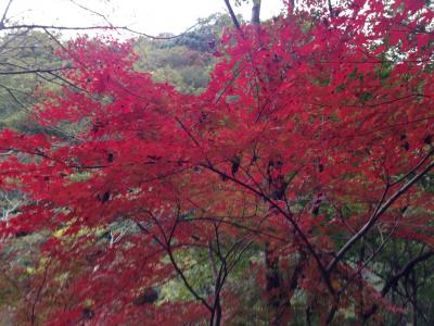 ゆったり登山と紅葉(^^)