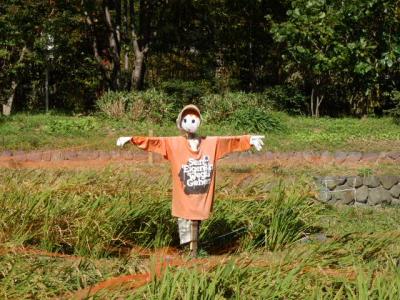 日本の旅　関西を歩く　大阪市の新梅田シティの里山周辺