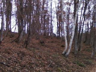 三段逆スライド体感温度　週末別荘ライフ＠信州野尻湖　2014　11月　8