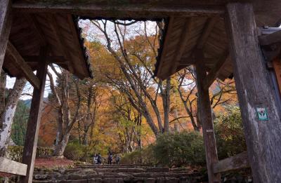 丹波もみじめぐり　その３　高源寺