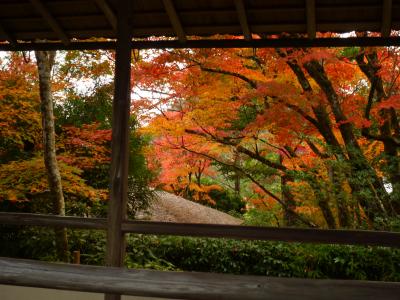 悟りでもない迷いでもない斜め向かいの窓～２０１４秋　京都～