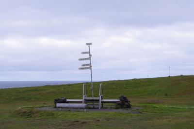 アイスランドに行ってみた (5日目 ⇒ グリムスエイ島とアークレイリ編)