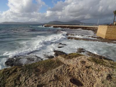 サルデーニャ島、５、アルゲーロ