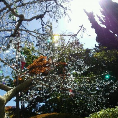 大涌谷～強羅　天気に恵まれて(^^)v