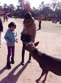 九州めぐりの後は・・・大阪・奈良