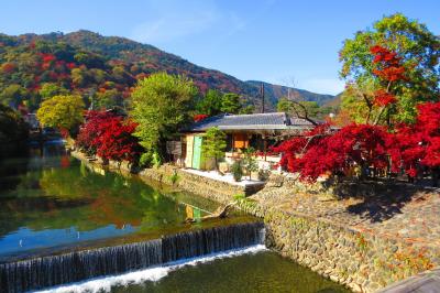 ポカポカ陽気の中をチャリで走る、チョットだけ紅葉あり