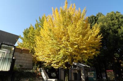 上野公園の秋景色