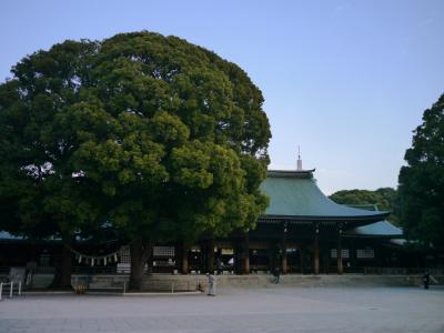 晩秋の明治神宮へ