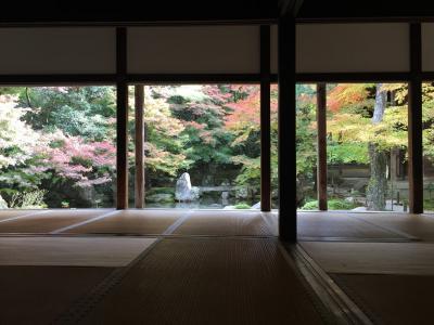 November 2014 - Kyoto (from my camera roll)