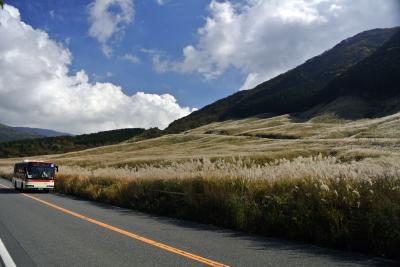 仙石高原すすき野を歩く』仙石原(神奈川県)の旅行記・ブログ by