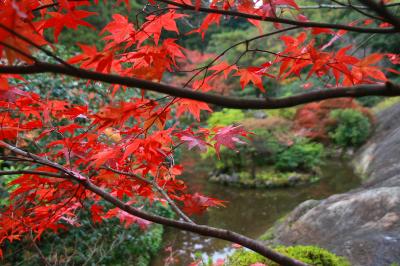 見頃を迎えた金沢・加賀の紅葉をめぐる旅（その2、鶴仙渓と那谷寺は紅葉真っ盛り！）