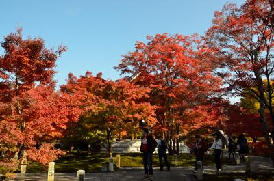 京都　2014/11/22