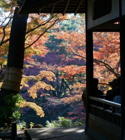 武蔵国分寺　（史跡と紅葉を求めて）