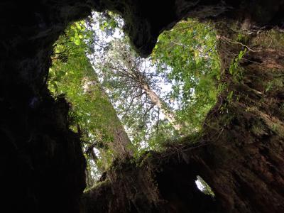 14年 女子旅 縄文杉に会いに屋久島へ