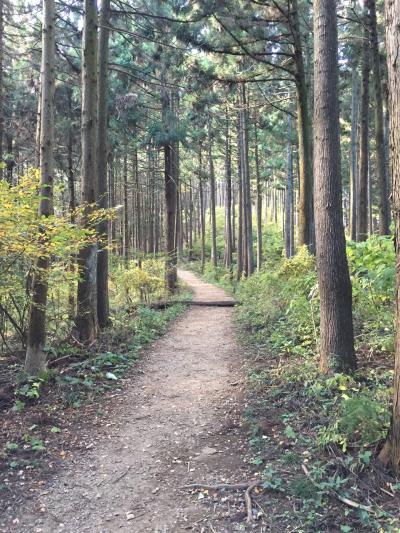 登山初心者に&#127925;石老山&#10071