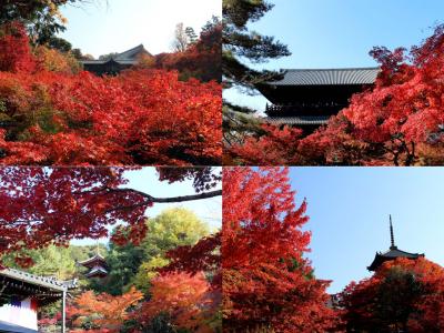 無料で楽しむ京都の紅葉♪今年のテーマはこれで決まり！【東福寺、今熊野観音寺、南禅寺、真如堂】