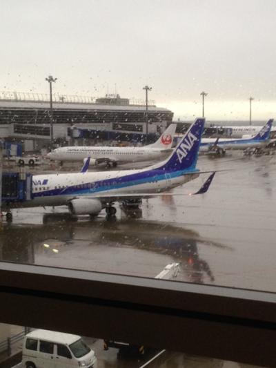 2014年　JAL修行三回目　宮崎編