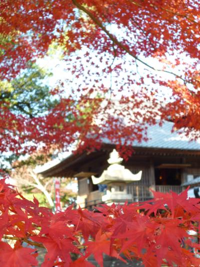 犬山・寂光院　自転車で行く紅葉狩り　