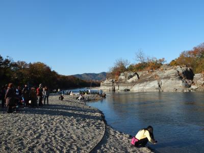 2014 11月　紅葉の長瀞