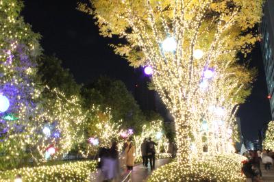 ２０１４年１１月　今年の紅葉は早い！高幡不動尊金剛寺へ紅葉を見に行き、帰りは新宿『ミナミルミ』でイルミネーションで幻想的な空間に包まれました。