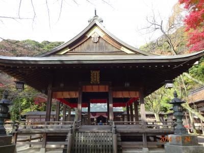 敦賀・金ヶ崎古戦場ウォーキング